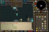Collection log (Youngllef) 2025-06-29_22-03-54