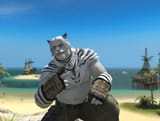 bigcat