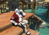 endlesssummercat