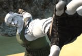 bigcatknockout