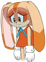 85521