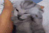 aaaaaaaaaaaaaaaaaaaaa