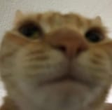 1691552469558717