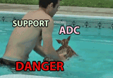 playing support