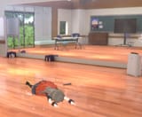 Grhrn7LboAEaPTj