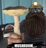 mushruum