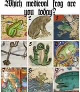 which frog are you