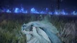elden-ring-nightreign-revenant-crying
