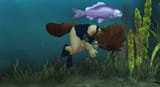 drowned