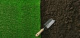 turf vs dirt