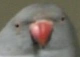 1727859709079815