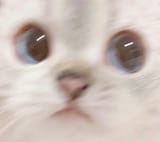 1684038192373720
