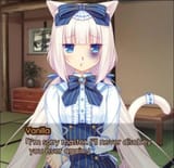 Cat beaten