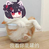 e1a1fa0b3949d739fec27f5a5941a56a_7356356340182129305