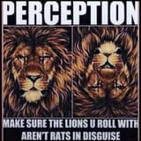 lions and rats