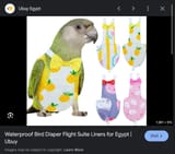 Screenshot 2025-06-30 220344