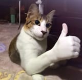 1691646879436999