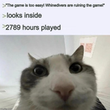 45746868