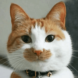 1709133977759947