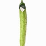 dongcucumber