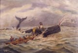 whaling-flicker-whalingmuseum