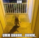 Eosh3LRXEAEsvLO