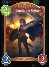 Fighter