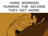 humans when