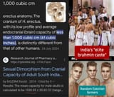 India&#039;s brahmin vs random estonian farmers
