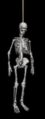 hanging-around-skeleton