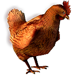 Chicken_Pet_inventory_icon