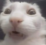 1749521867269985
