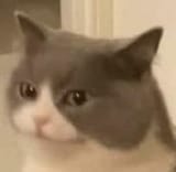 1735838059550667