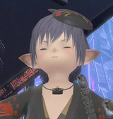 ffxiv_dx11_vGM1hRDUiM