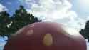 1743167800011439_thumb.jpg