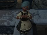 ffxiv_01072025_010136_390