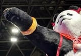 heil panda