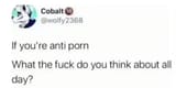 antiporn