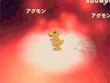 Agumon digivolve