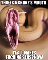 Snake&#039;s Mouth