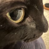 reallycloseupmoonie