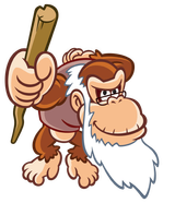 cranky_kong