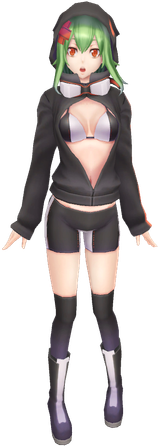 Rina_next0rder