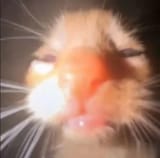 1733400686825186