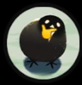 yixuan birdthink