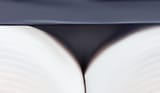 Polarbearasdf_1536x890