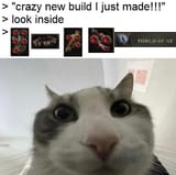f7a9igzvmlee1