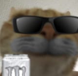 thecat