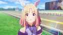 NTR_thumb.jpg