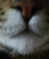 1533071794264